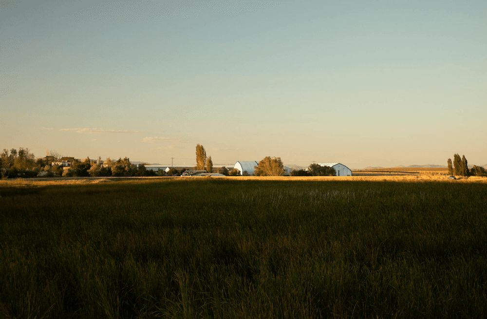 Chad Daybell's Ranch
