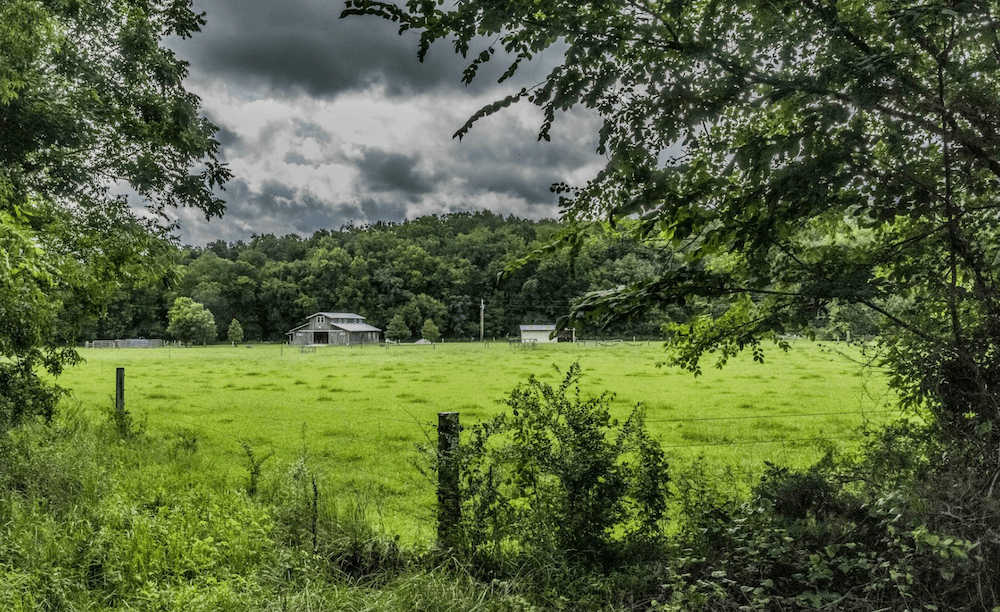 Simmons' Family Farm