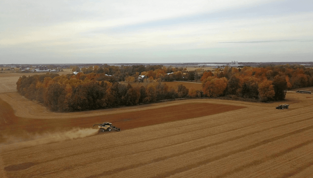 Fox Hollow Farm