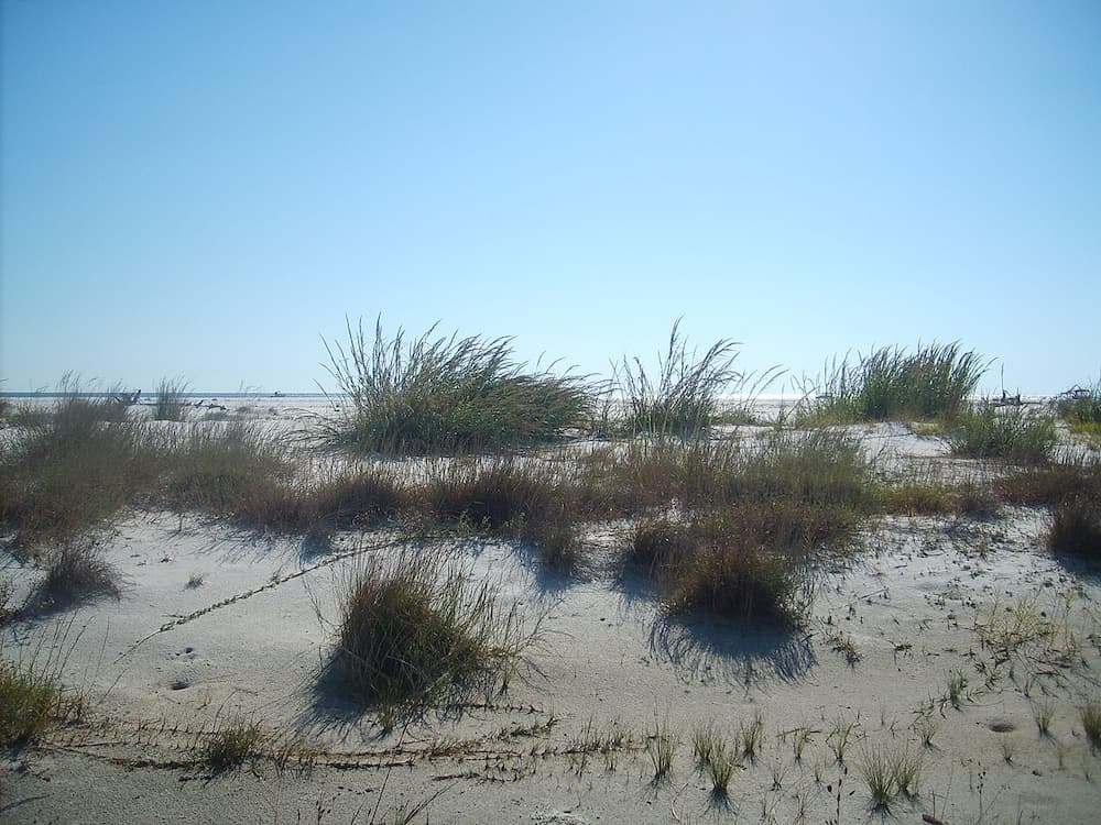 Horn Island - Nolan Wells Death